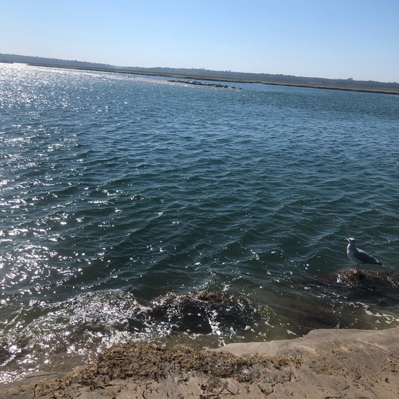 Meet your Posher, Leslie - Picture 1 of 1